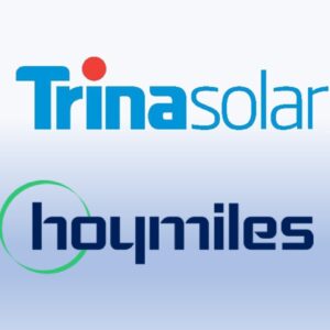 Trina-Hoymiles HMS800W